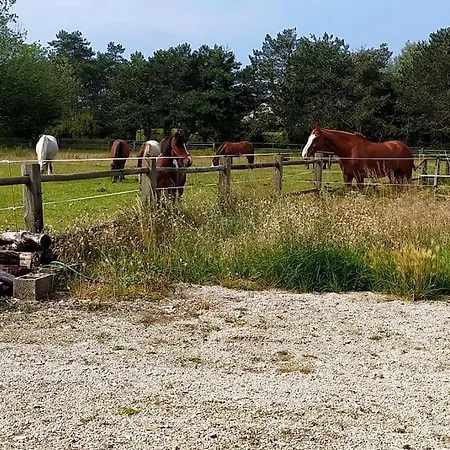Dom wakacyjny Le De La Ferme