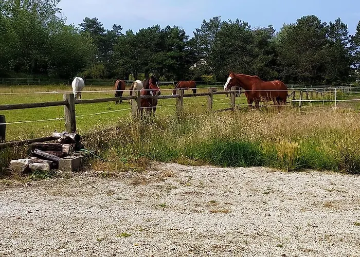Casa de Férias Le De La Ferme